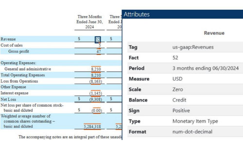 Understanding iXBRL Filings