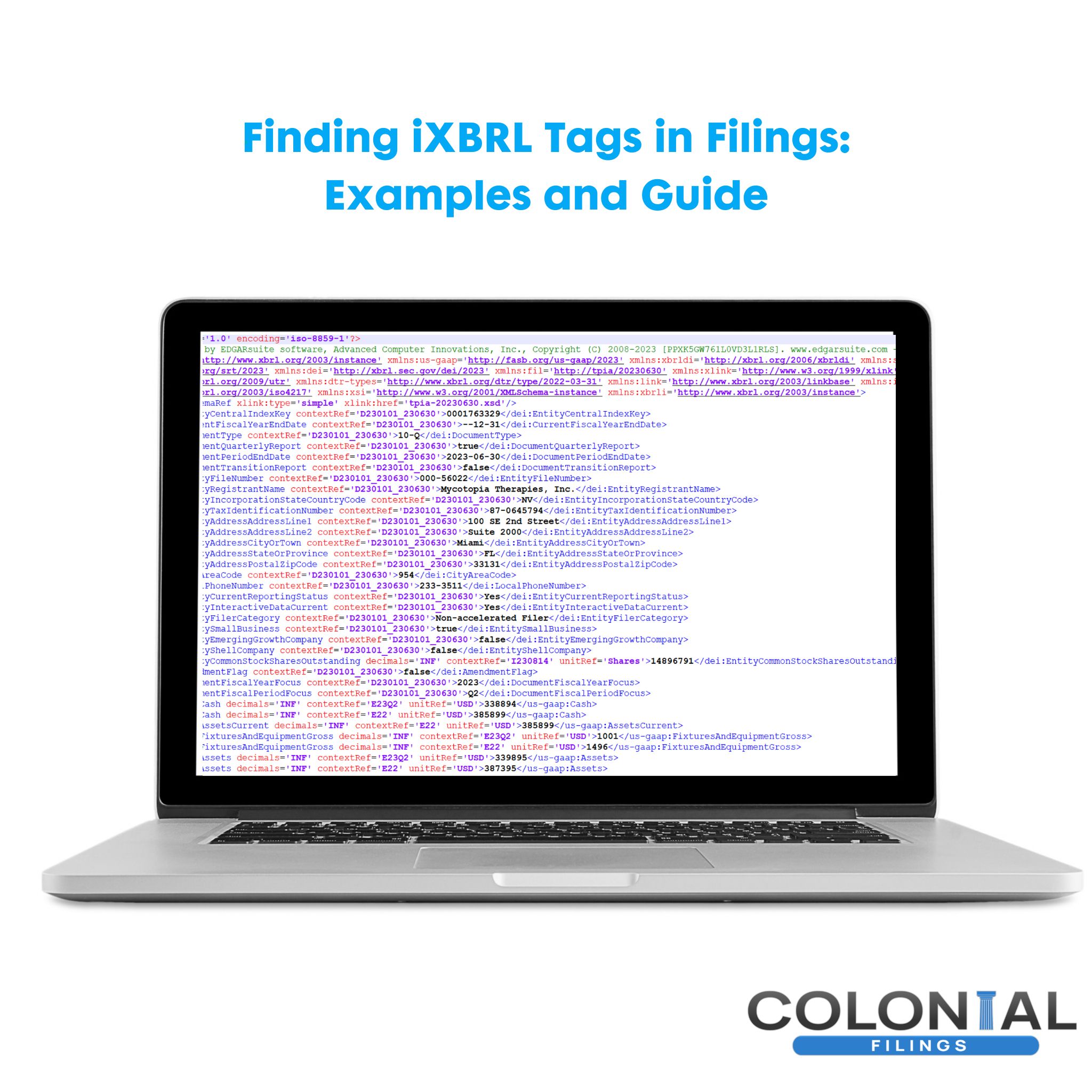 What are Examples of iXBRL Tags, and How Can I Find Them in my Filings?