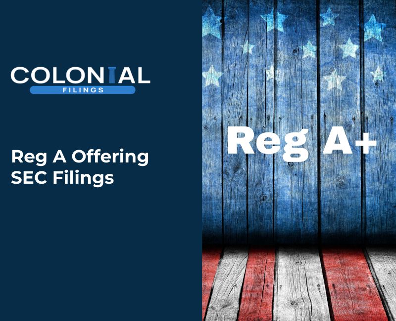 What SEC Filings Do I Need for a Reg A Offering?